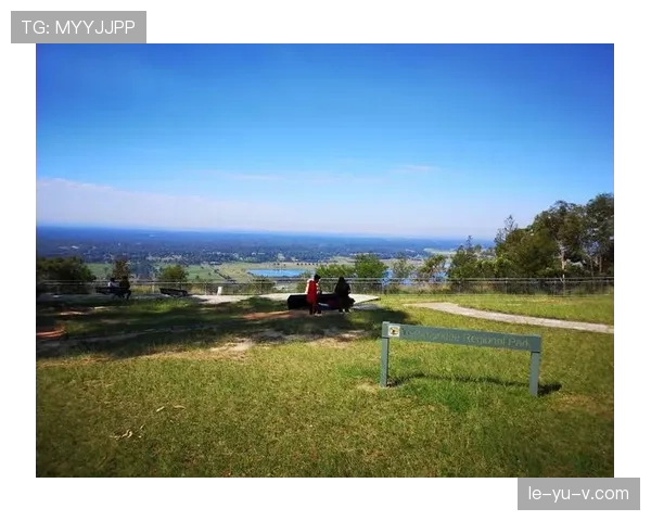 洛赫特奥运征程画句号：12枚奖牌铸就泳坛传奇