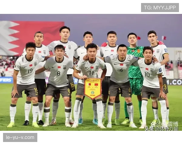 印尼国家队球员联赛水平现状与竞争力分析