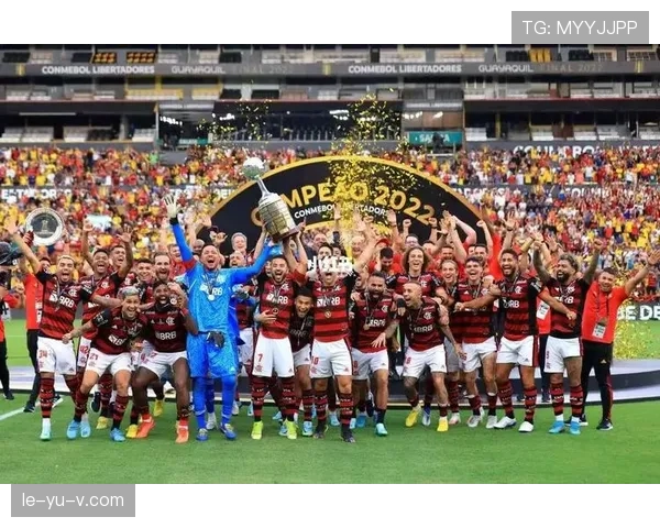 南美解放者杯最新赛况与晋级形势分析