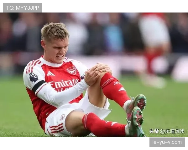 厄德高国家队关键战表现解析